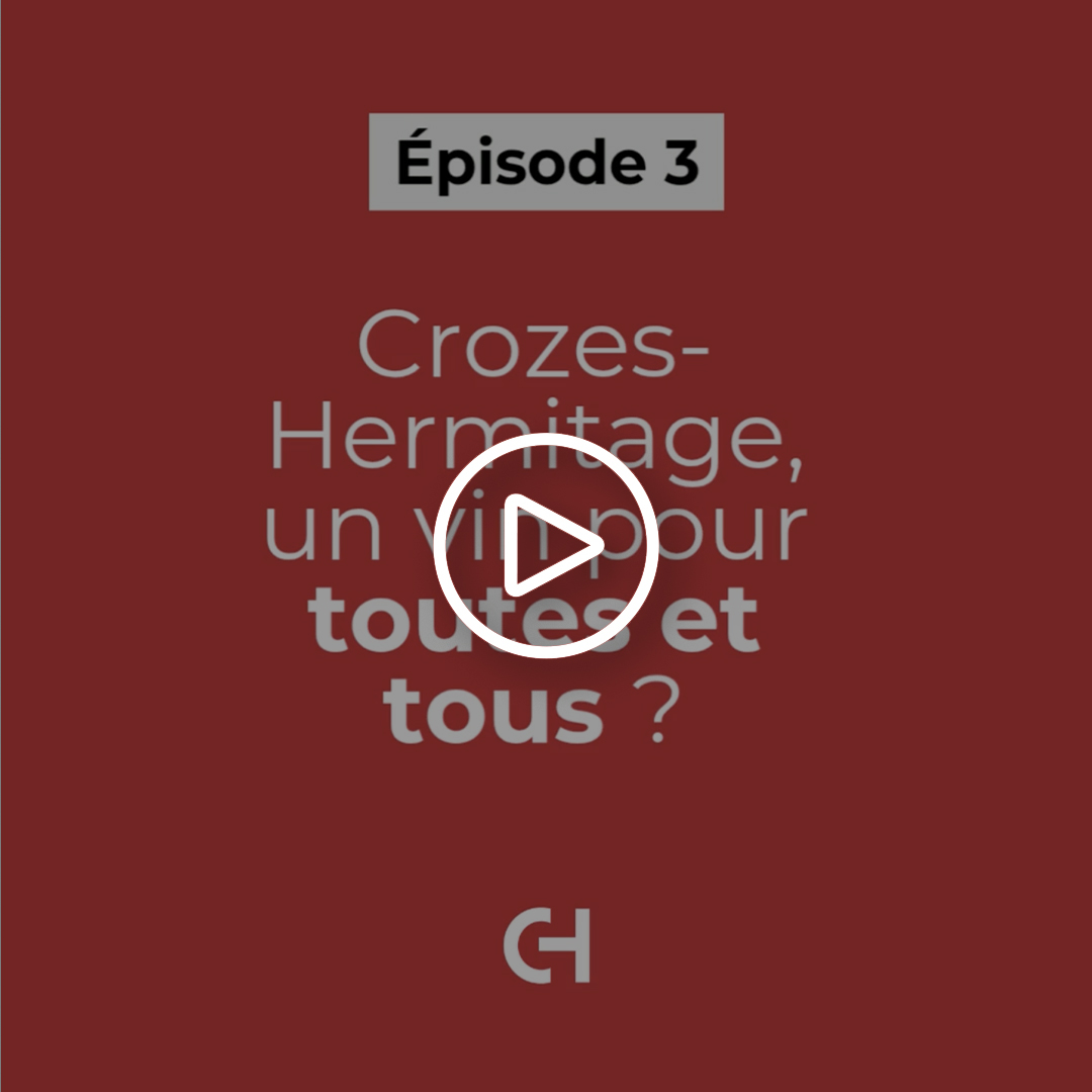 Crozes-Hermitage, un vin pour toutes et tous ?